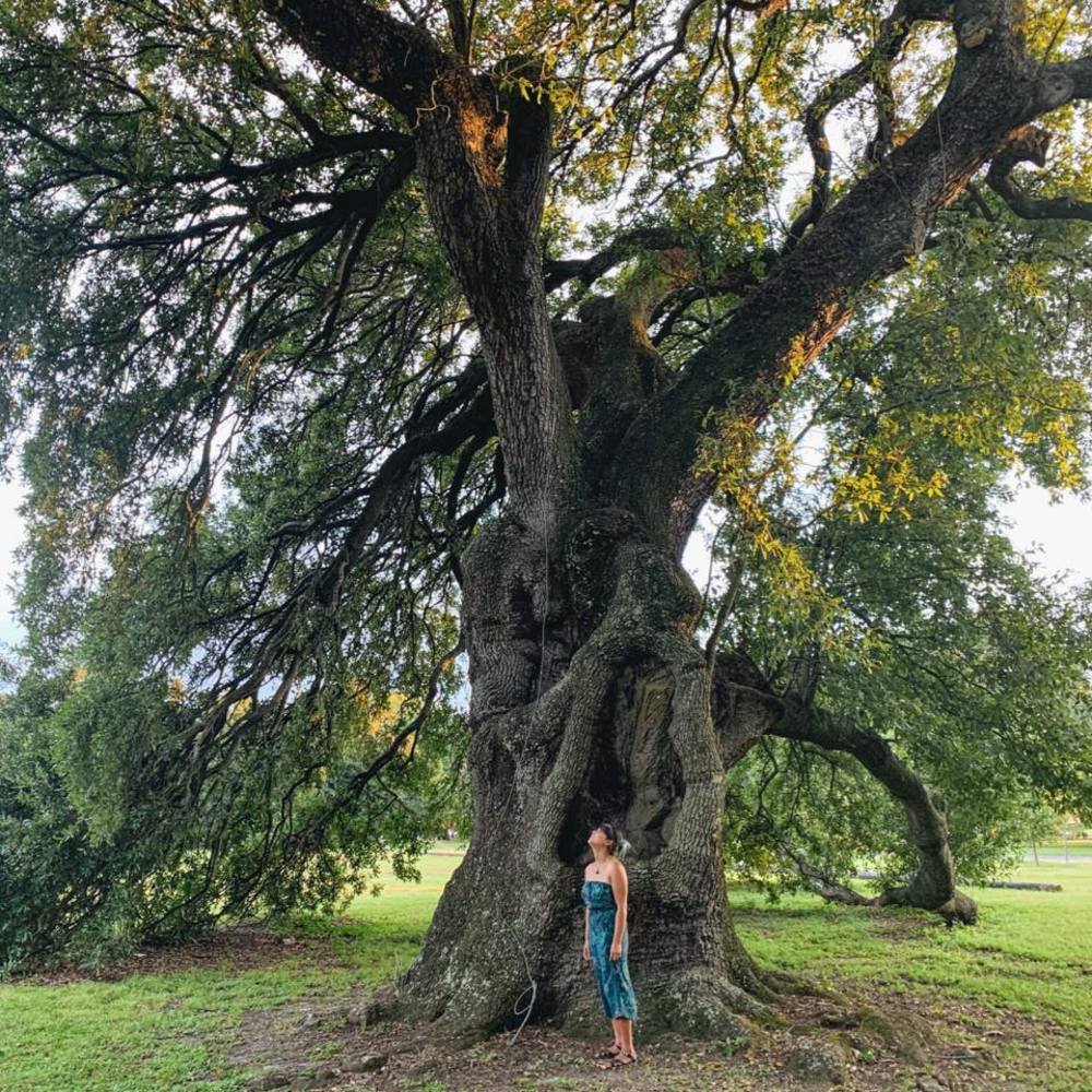 Meet your Posher, Kristine